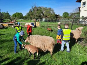 Besuch beim Schafhalter Herr Zoike in Walzfeld